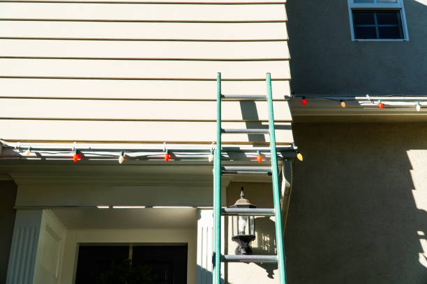 Historical Building Siding Restoration in Sun Valley, NV